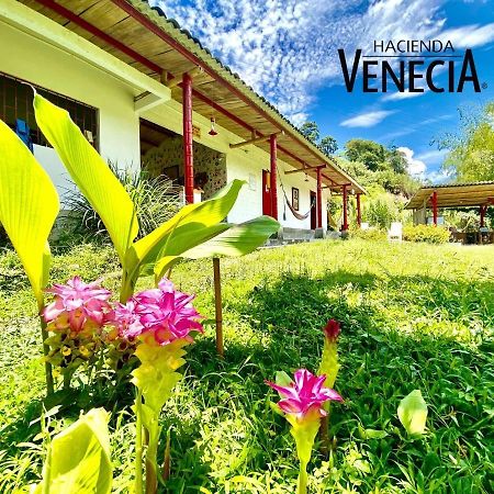 Hacienda Venecia Hostel San Peregrino Exterior foto